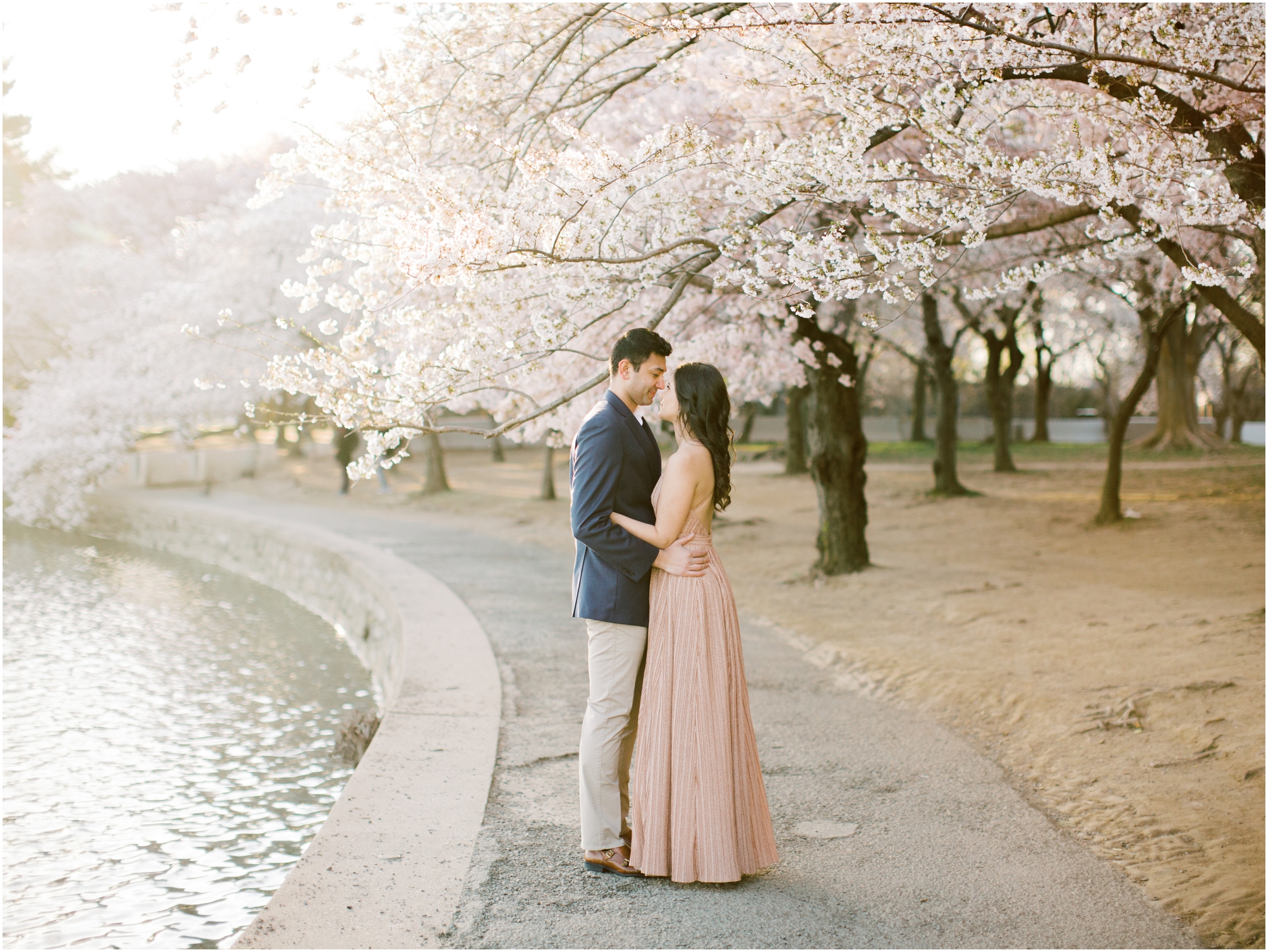dc film photographer cherry blossoms
