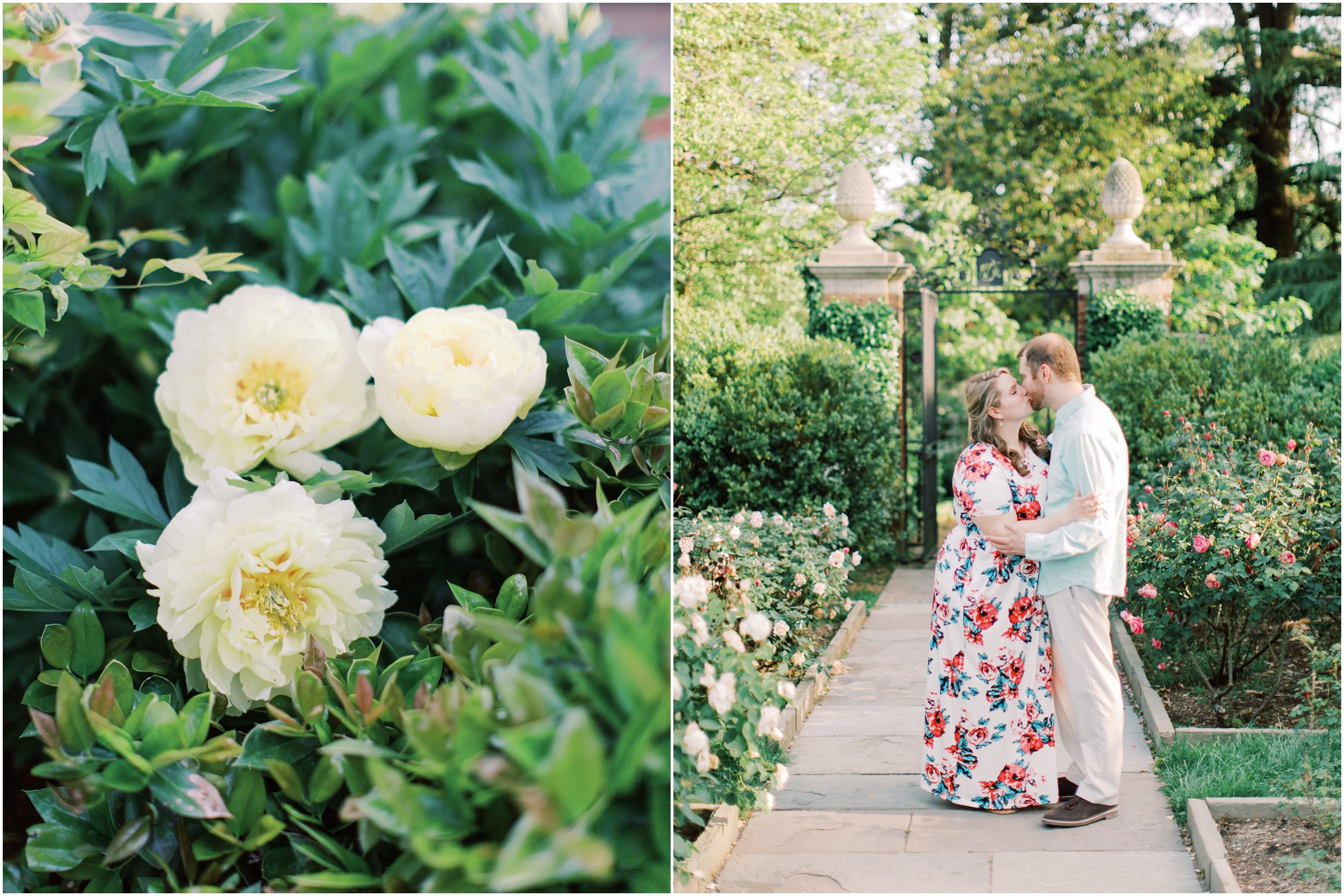 Spring Engagement at Dumbarton Oaks in Georgetown, D.C.