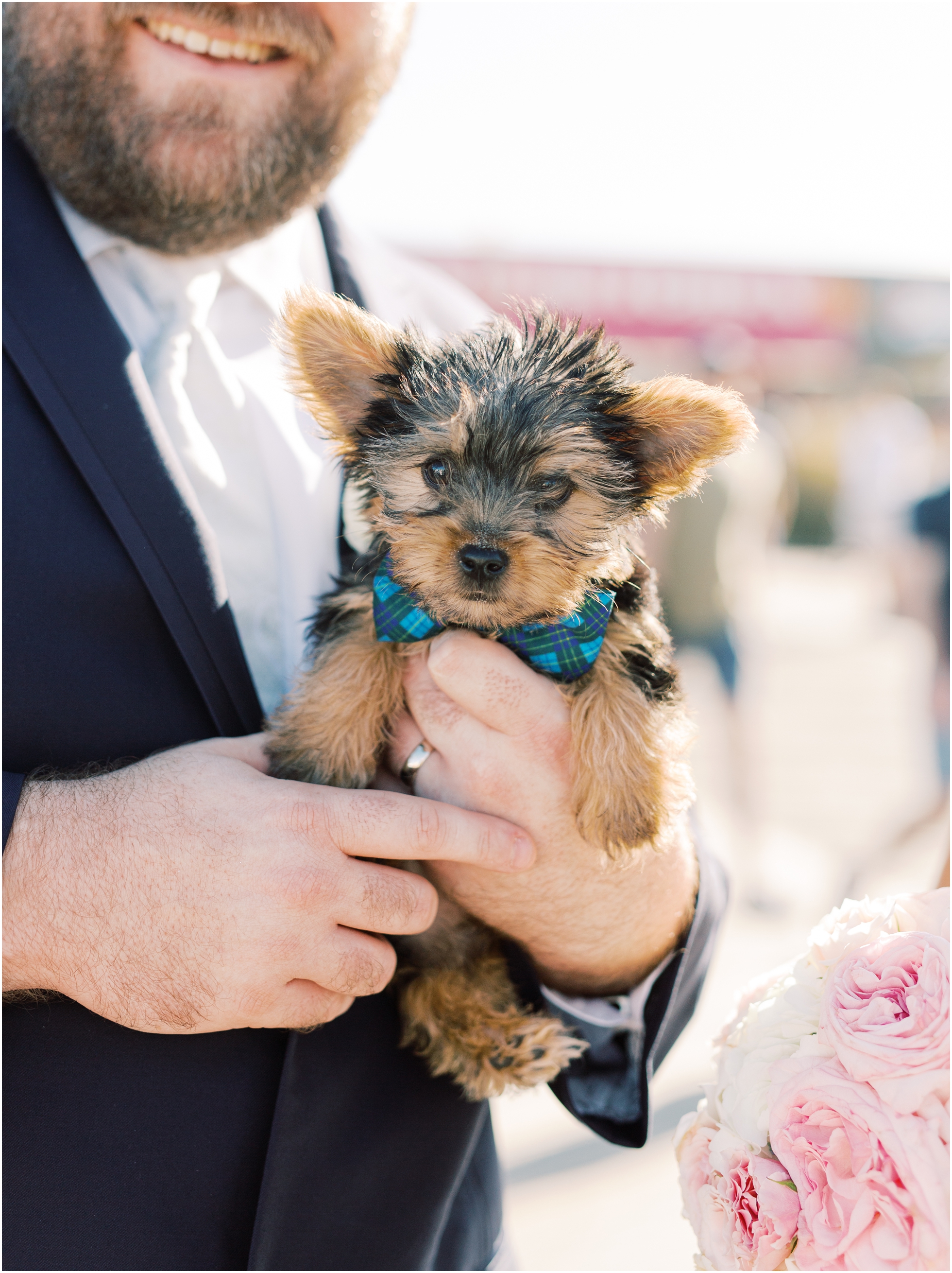 Planning for An Engagement Session with Your Dog