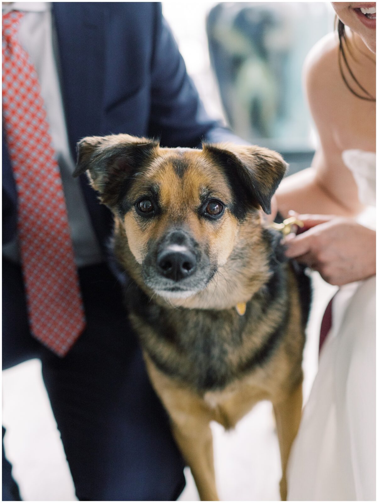 Jamie & Ken’s Elegant Spring Wedding at the Riggs Hotel, DC - LA VIE EN ...